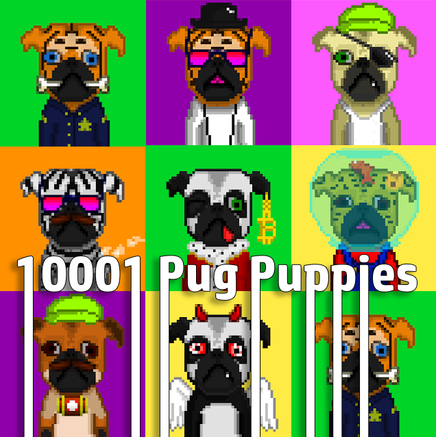 10001 Pug Puppies tweet media