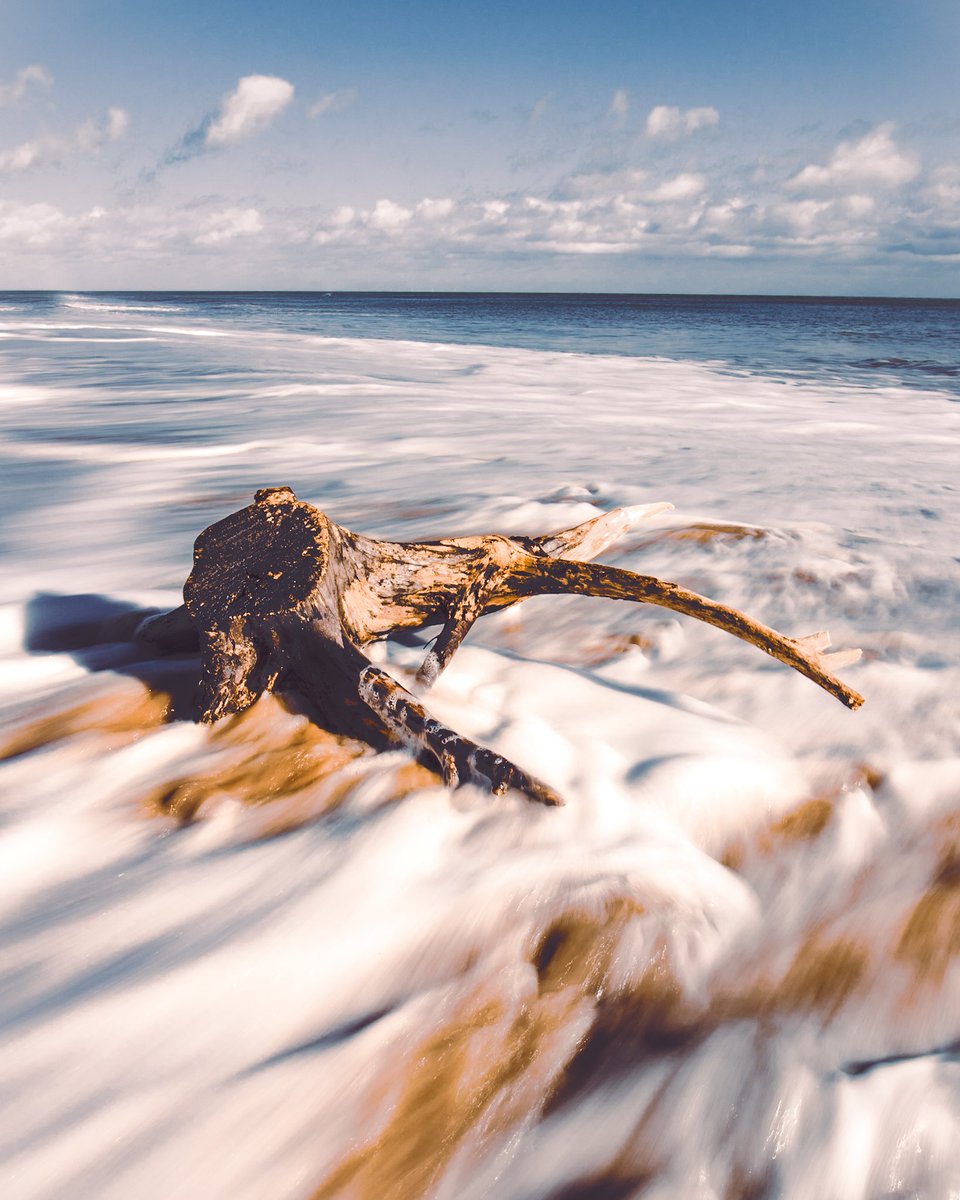LukeKennyPhoto1's tweet photo. Spring vibes rushin in 

#Ireland #beachvibes #visitwexford https://t.co/WP4dFmWrKE
