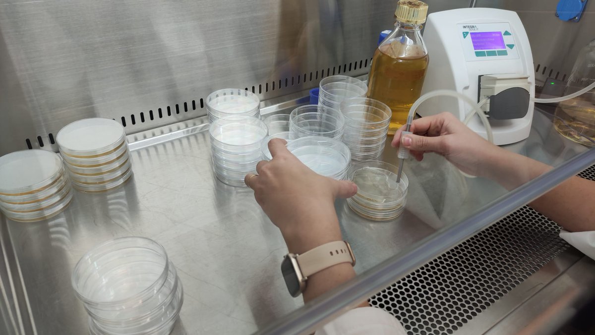 PostPath_IATA's tweet photo. Preparando las charlas divulgativas por el @11defebreroES con @anbalfru @BelenLlobregat @AdrianGG8 del @iata_csic @CSICval @CSICdivulga https://t.co/0AeSWKByba