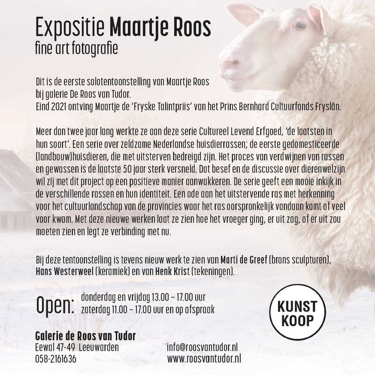 Maartje Roos (@roosmaartje) on Twitter photo 