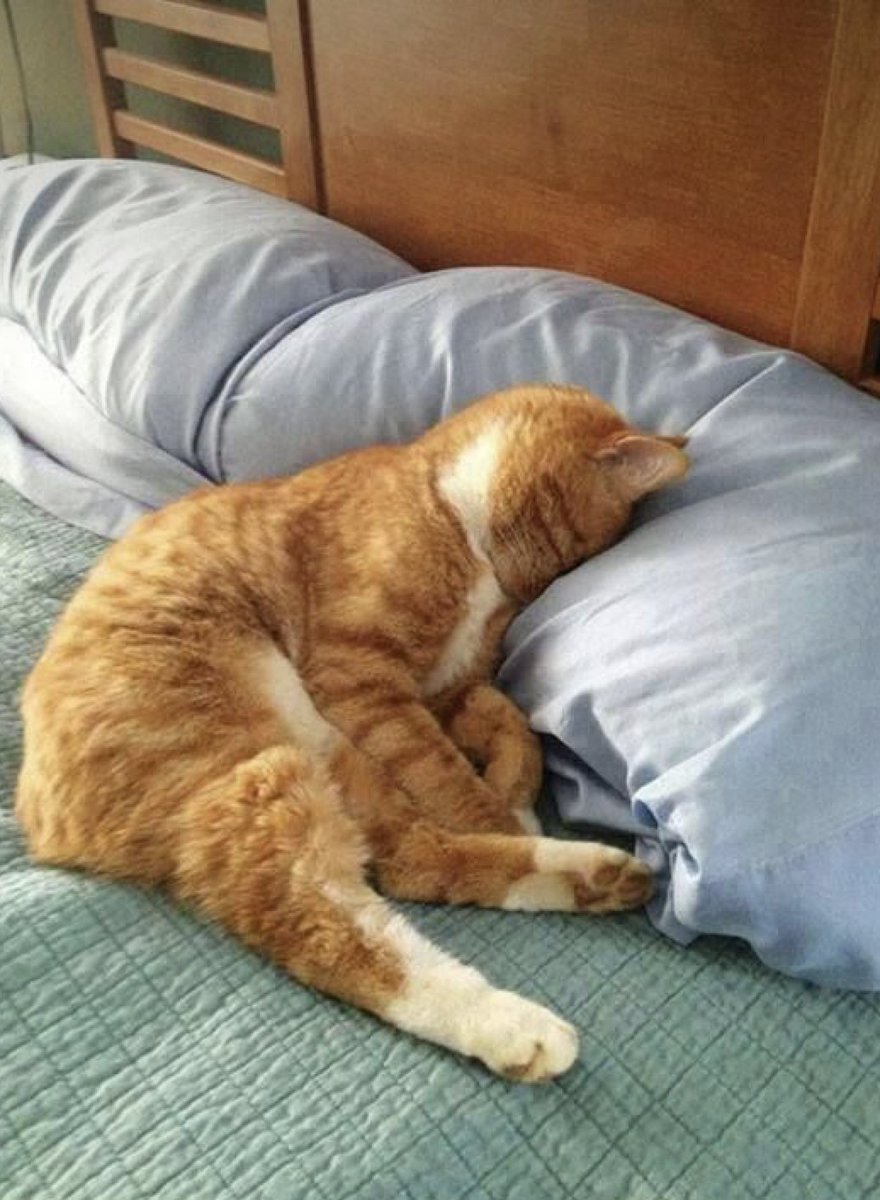 GratitudeSoup's tweet image. My therapist is refusing to see me today.