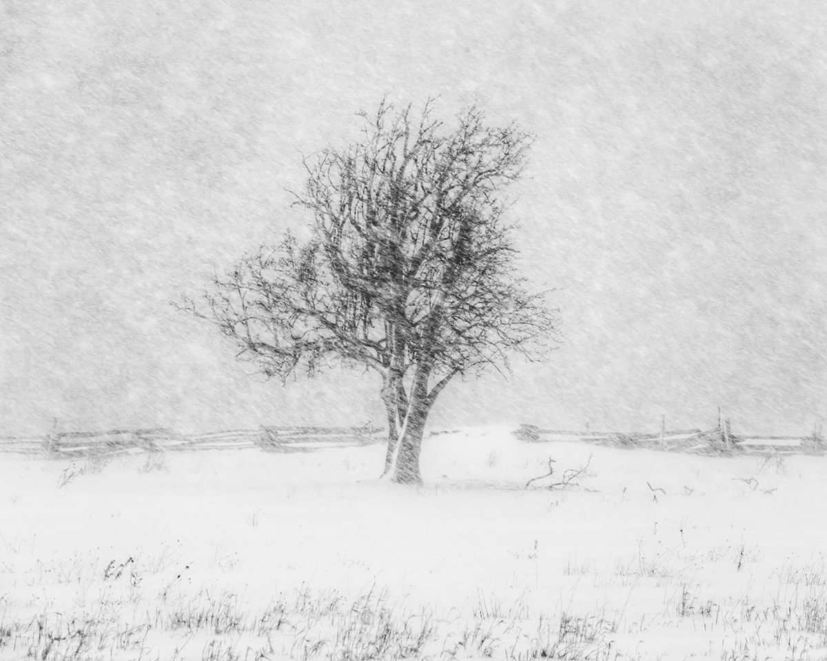 jamus91's tweet photo. @FlakPhoto Winter in Grey County, Ontario. https://t.co/A3y0qw2tH6