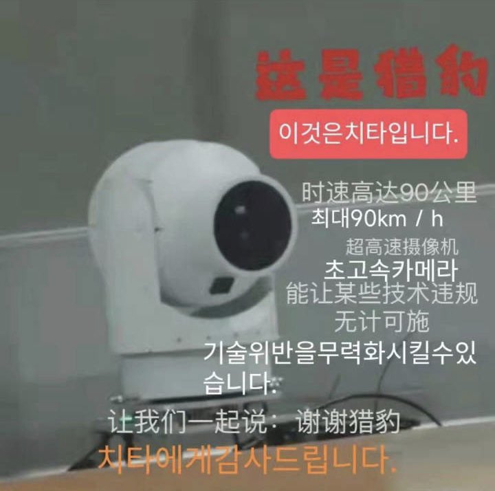 Shell__CHEN's tweet image. #쇼트트랙 Cheetah is watching you👀