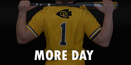 Ottawa Braves Baseball tweet media