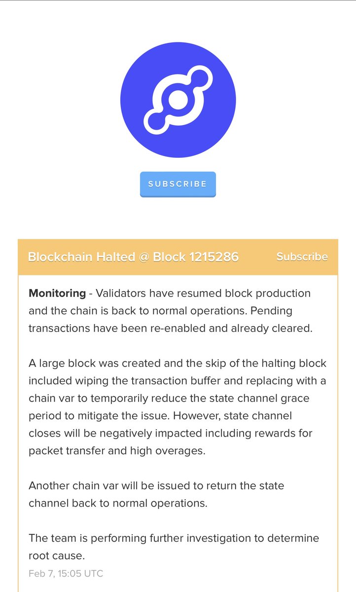 Max Gold 🎈 tweet media