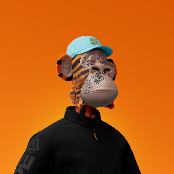 aotsy1's tweet photo. @HAPEBEASTGANG Too Hype Too Hape! https://t.co/vKrAAvQGyI