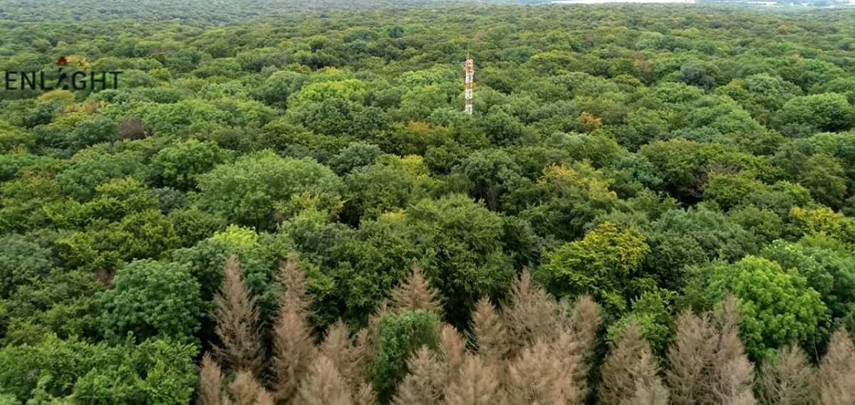 BioclimGoe's tweet image. Was macht der #Klimawandel mit dem #Wald? Ragna fragt nach(haltig)

youtube.com/watch?v=h0Sv6O…

Im Projekt #DigitalForest @uniGoettingen erarbeiten wir innovative #MachineLearning-Konzepte, um besser zu verstehen, wie der Wald auf Klimastress reagiert.
#BioclimatologyGroup #Hainich