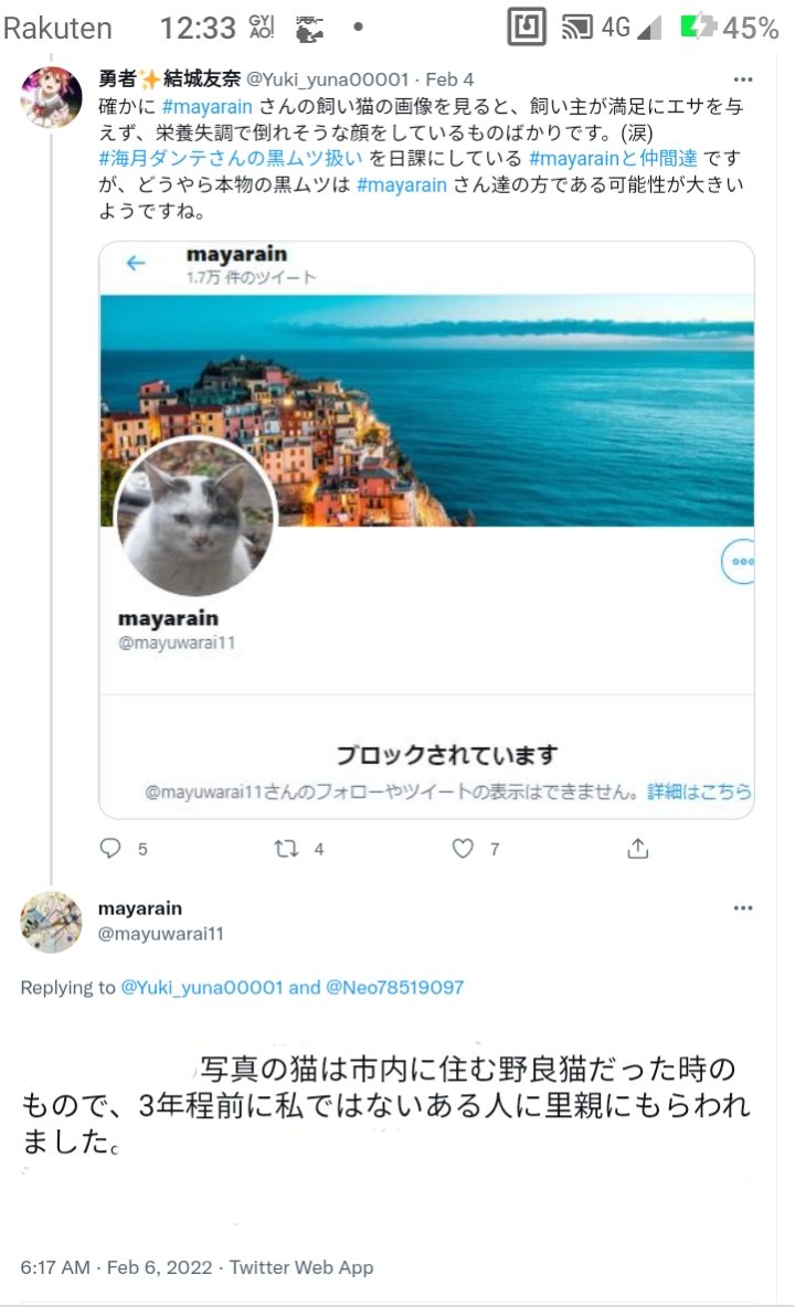 moonlightGW's tweet photo. @Yuki_yuna00001 @w6hgw8 @mayuwarai11 @Ram51467683Ram @CBR1000RR_HS @itazurazashiki @ubukatayukio66 @moriyatakako @nakamachi_kei @0gaficOFkdLHqVn @ljcyta00 @manahataisetu @Sefer_Rasiel @chatte_calico @prejidentyogi @Ob55hpNHrcN8m6l @uragoe_ @NwFle6q9vQTXb4q @aisinkakura1941 @HalucoJK1 @yumeta0401 @marimo_2010_ @turbo0421 @Gka6N8 @365imyme1 @davidisdevisann @6L4QS1gZbVAvhcH @4xUkohMGZK0I7RD @banzai70477591 @runshiwa @Mc4pyRp7ephWCF7 @j_persica @SWWJPG @jibunnooniwa @PwmnDp @battlepodx @pasonisan @Neo78519097 @tomokoyazawa @chibanyanko2 @noe3noe3noe3 @dog1cats5 @tks_lucky @cupppa1 @pat_nekoshippo3 @mimikiyopy @ponta39397 @ani_nalv @torakic63151426 @chiikinekochiba このmayarainは「のら猫🐈を拾って飼った後、他人に猫🐈を譲った」と言っているが、そのような経緯の後、Twitterに使用するのは「自分が面倒をみた後の猫🐈の写真」に必ずなるはずだ。

よってアイコン写真はmayarainからエサを与えられない虐待を受け、栄養失調となった猫」であることが明白だ。 https://t.co/xYpwrWbScT