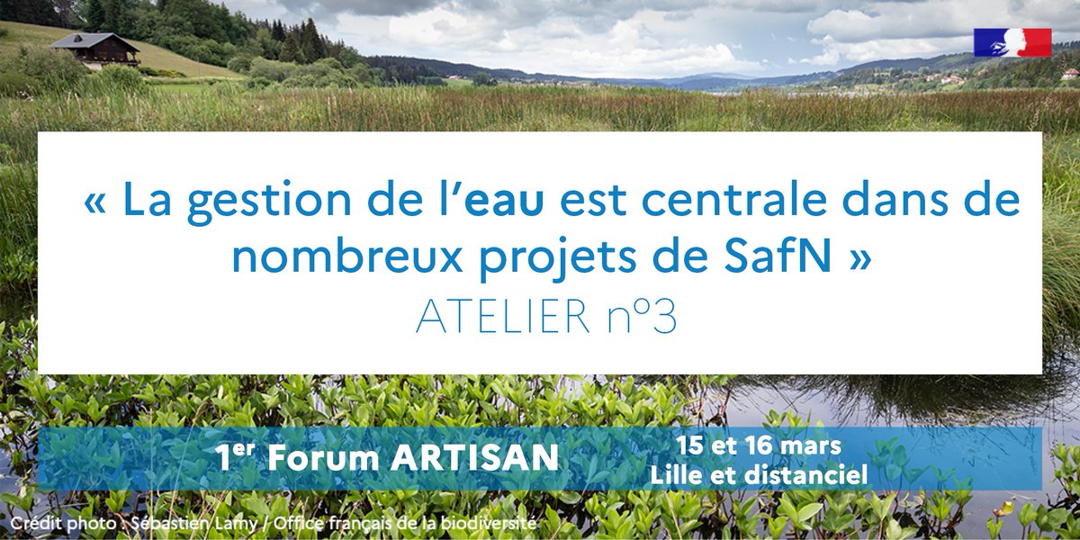 LifeARTISAN_'s tweet photo. Remettre la #nature et les #écosystèmes au cœur des projets d’#aménagements : #végétalisation de villes, #restauration de dunes, création de #zoneshumides, cours d'#eau à ciel ouvert
Pistes d'actions, #RetourExperience site pilote #Eygoutier, #témoignages
👉animé par le #CEPRI https://t.co/kQMmYBVIJw