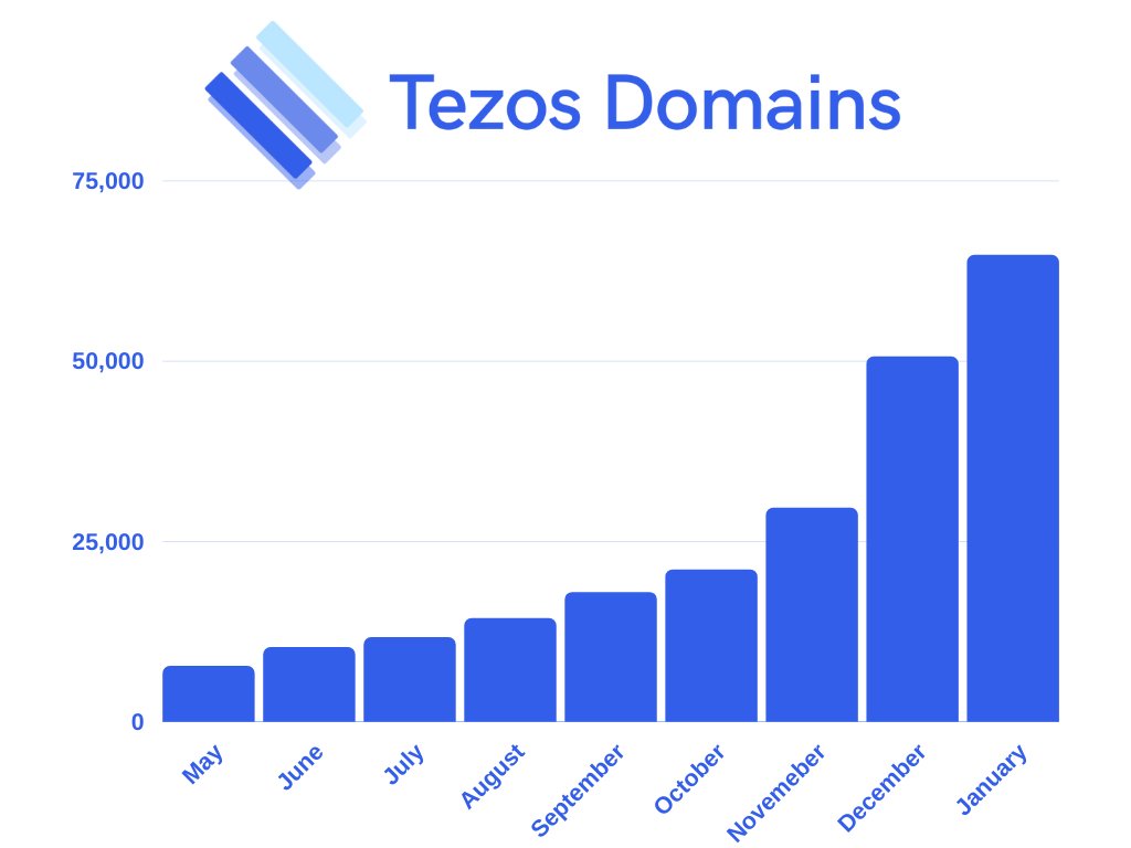 The total number of domains at the end of each month.