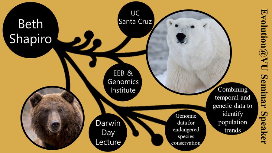 Black circles containing text and images connected by black vines on a gold background. Text: Beth Shapiro, UC Santa Cruz, EEB & Genomics Institute, Darwin Day Lecture, Genomic data for endangered species conservation, Combining temporal and genetic data to identify population trends. Images: Brown bear, polar bear.