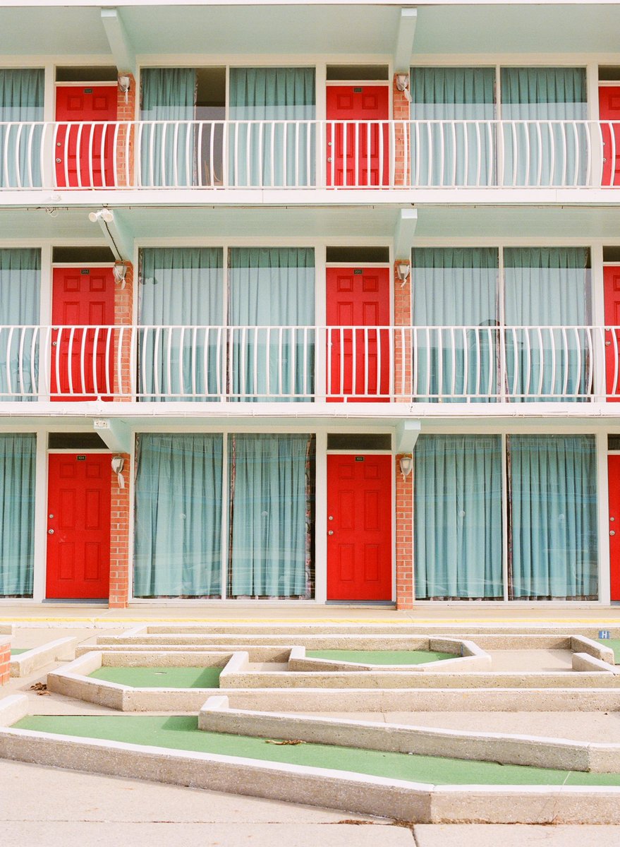 JesseJosephh's tweet image. Portra 800 never misses