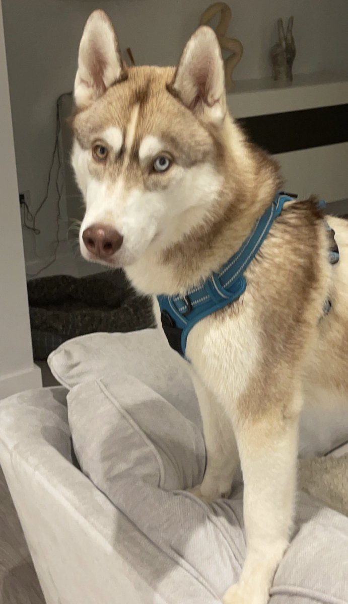 He has changed so much