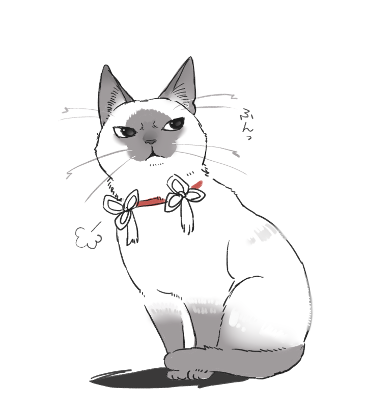 日課
※飼い主槍、飼い猫弓 