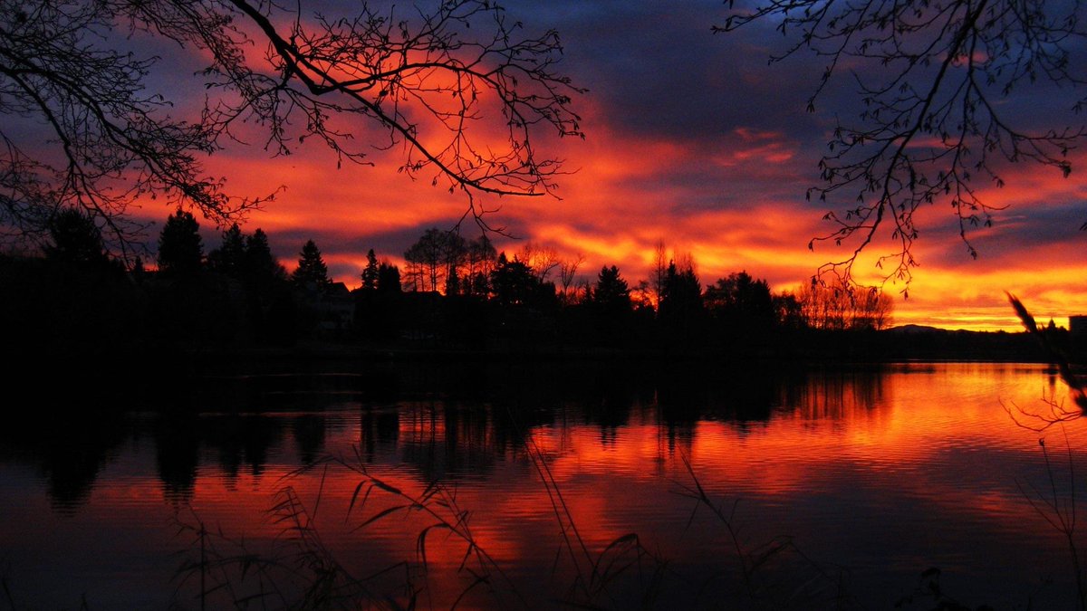 NWSSeattle's tweet photo. Since it's a bit gray here in the lowlands this morning, we'll time travel back to this day in 2016 for sunrise over Seattle's Green Lake park. #wawx https://t.co/FKVLT1gIg2