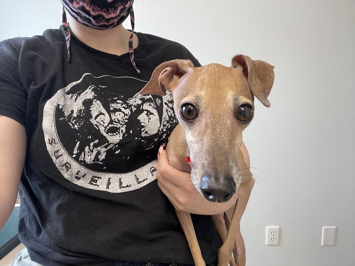 pear_full's tweet photo. Pls roast my dog for making me spend $500 on nothing https://t.co/Hm0eivviyP