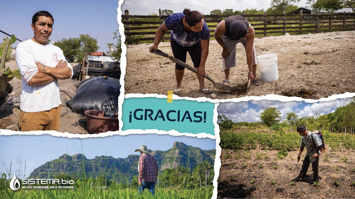 En Sistema.bio agradecemos a todos los productores que día con día se levantan para trabajar la tierra que produce nuestros alimentos. #CreandoValorDelDesecho 🐷🐮♻️ #Agricultura
