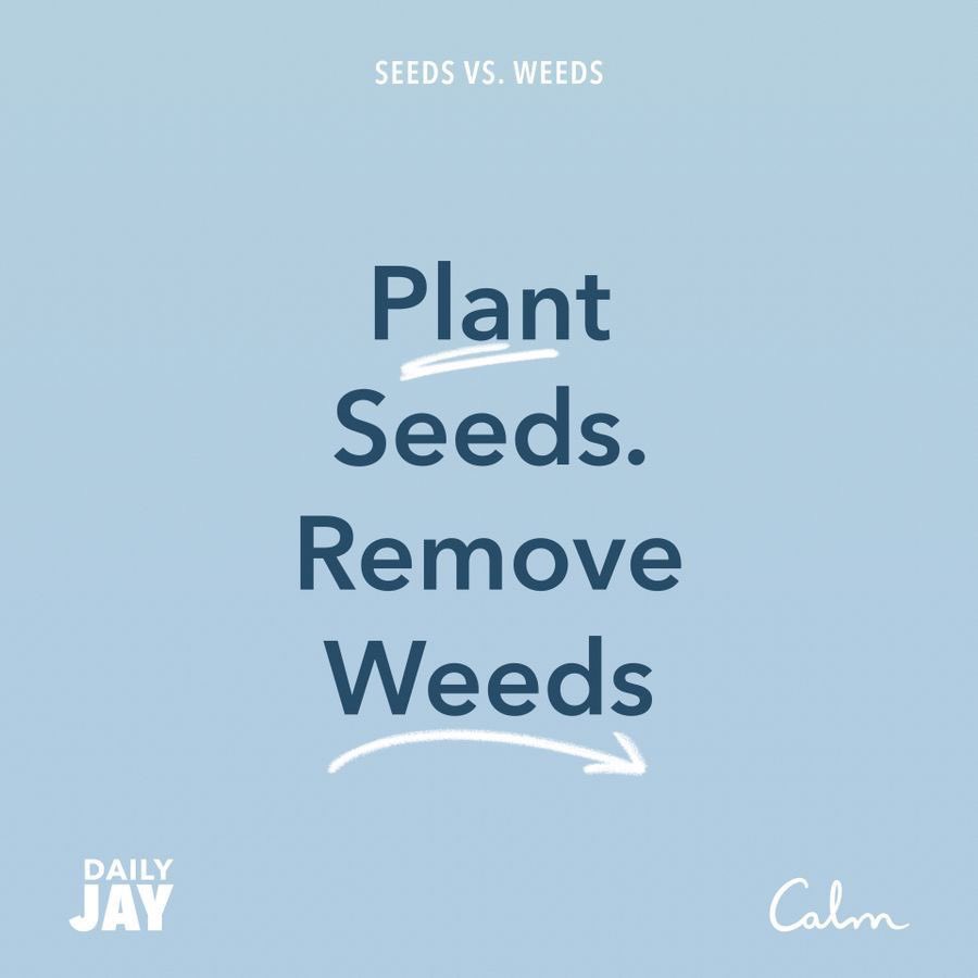 candyce_hunt's tweet photo. What seeds are you cultivating in your mind? #thoughtwork 

Seeds - 📈 thoughts

weeds - 📉thoughts https://t.co/cJRTIOzHLP