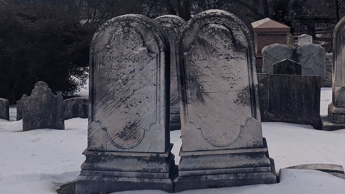 folaurelhill's tweet photo. Roses are red, tombstones are gray, we have the perfect way to celebrate Valentine's Day! (Or not.) https://t.co/bnLwZigZY4