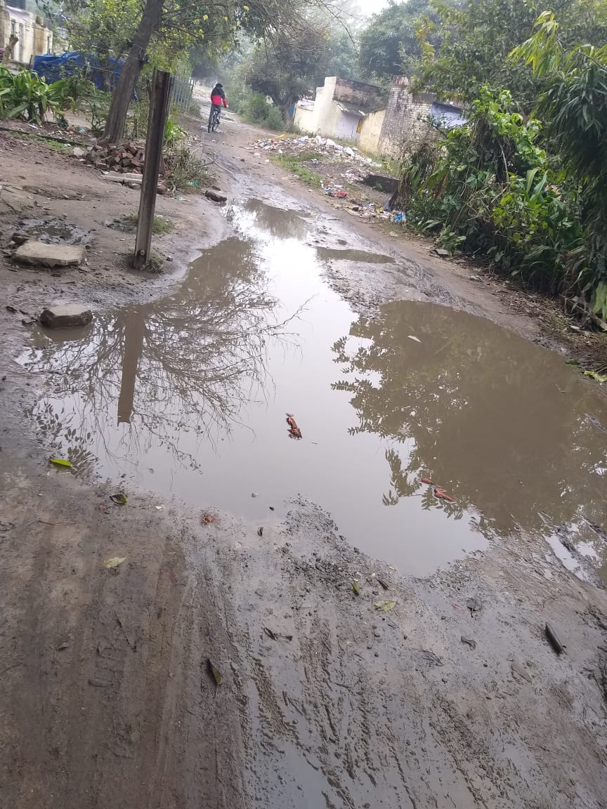 reporter tweet media