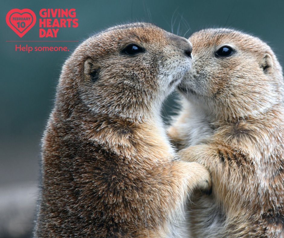 Red River Zoo tweet media