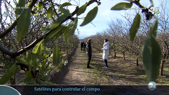 SONEAima's tweet photo. Gracias @Temperotv por difundir el uso de la #teledetección en fincas agrícolas 👏👏 ¡ha sido una experiencia genial!

📢No te pierdas el programa del sábado 5/02📽️ https://t.co/kqbbVBAJ2V 

#almendro #iberalmond #TemperoConecta @aragontv @agrostockgroup @ig4agronomia @walqapt https://t.co/Nk9woOlOaG