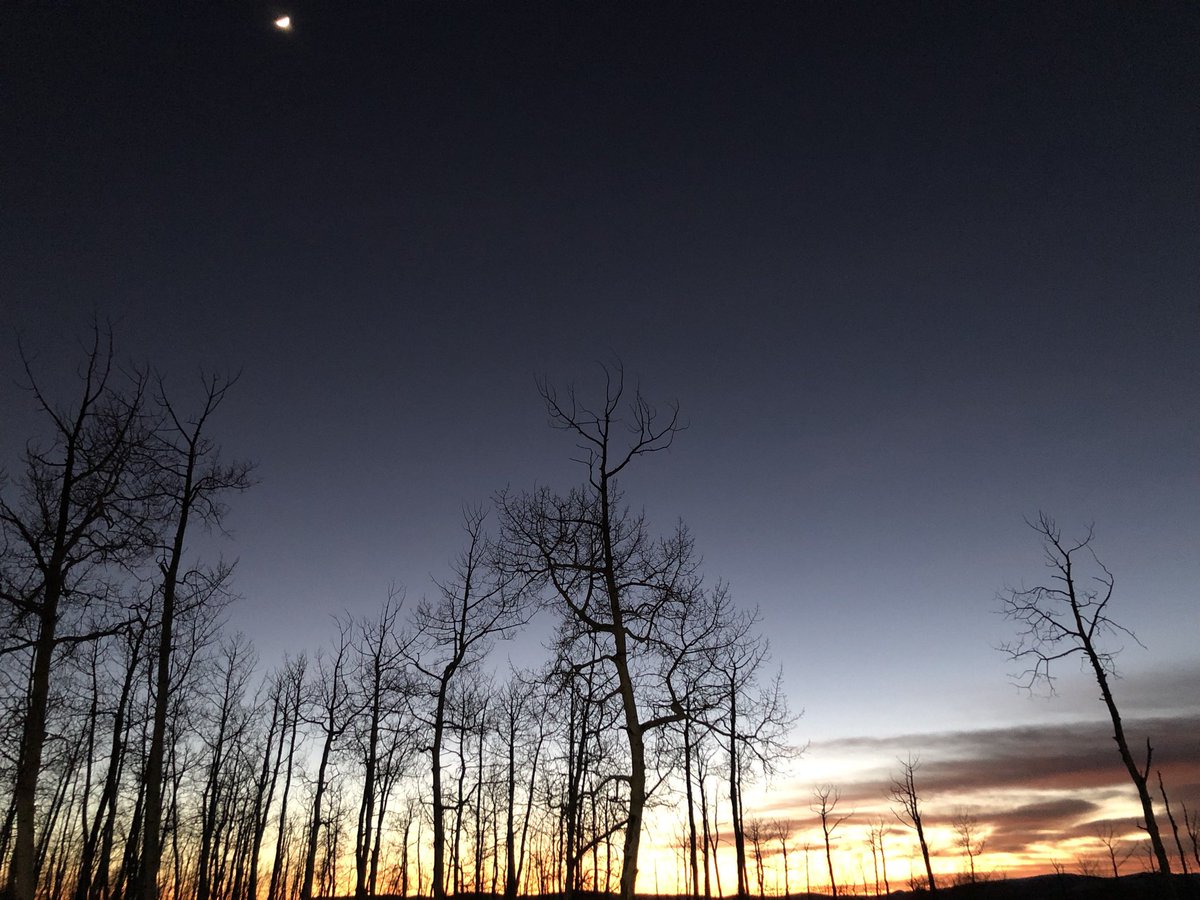 WatchmenRanch's tweet photo. What is better, a sunrise or a sunset? 
Luckily, no matter your preference, you get amazing views of both when you stay with us!
#sunset #sunrise #mountainlife #colorado #glamping https://t.co/zlxws7OIu0