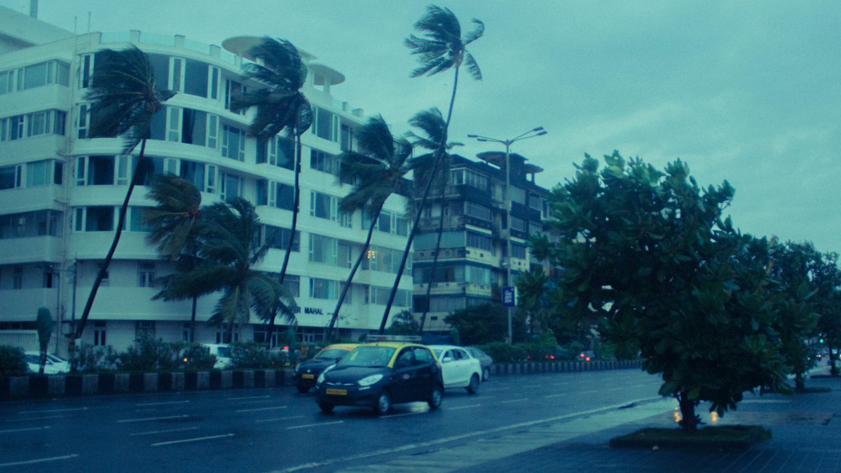 TakshShikari's tweet photo. Photos I took on a rainy day https://t.co/popWqND8VN