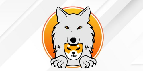 Shibtama Token tweet media