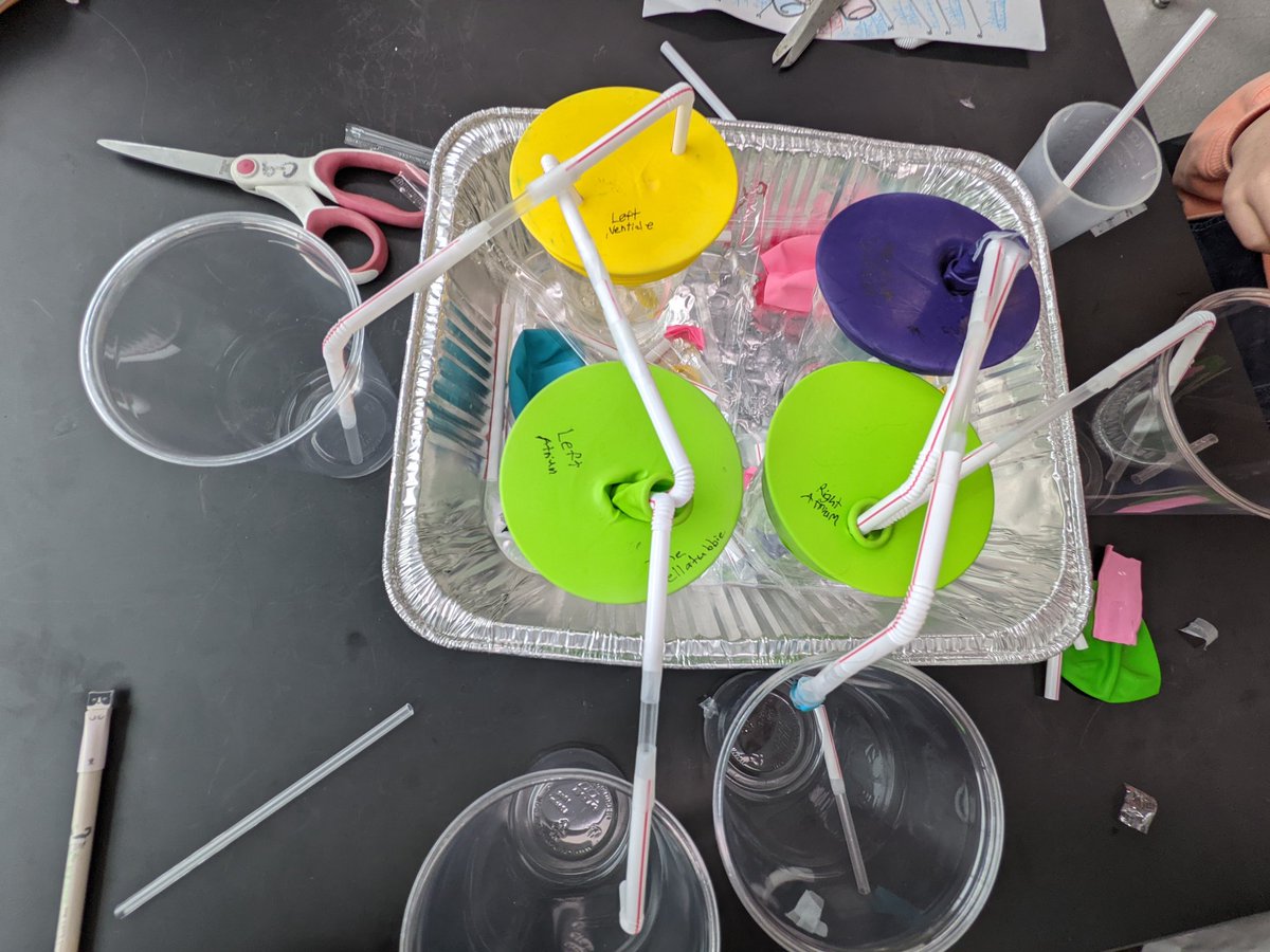 Jon Baek tweet media