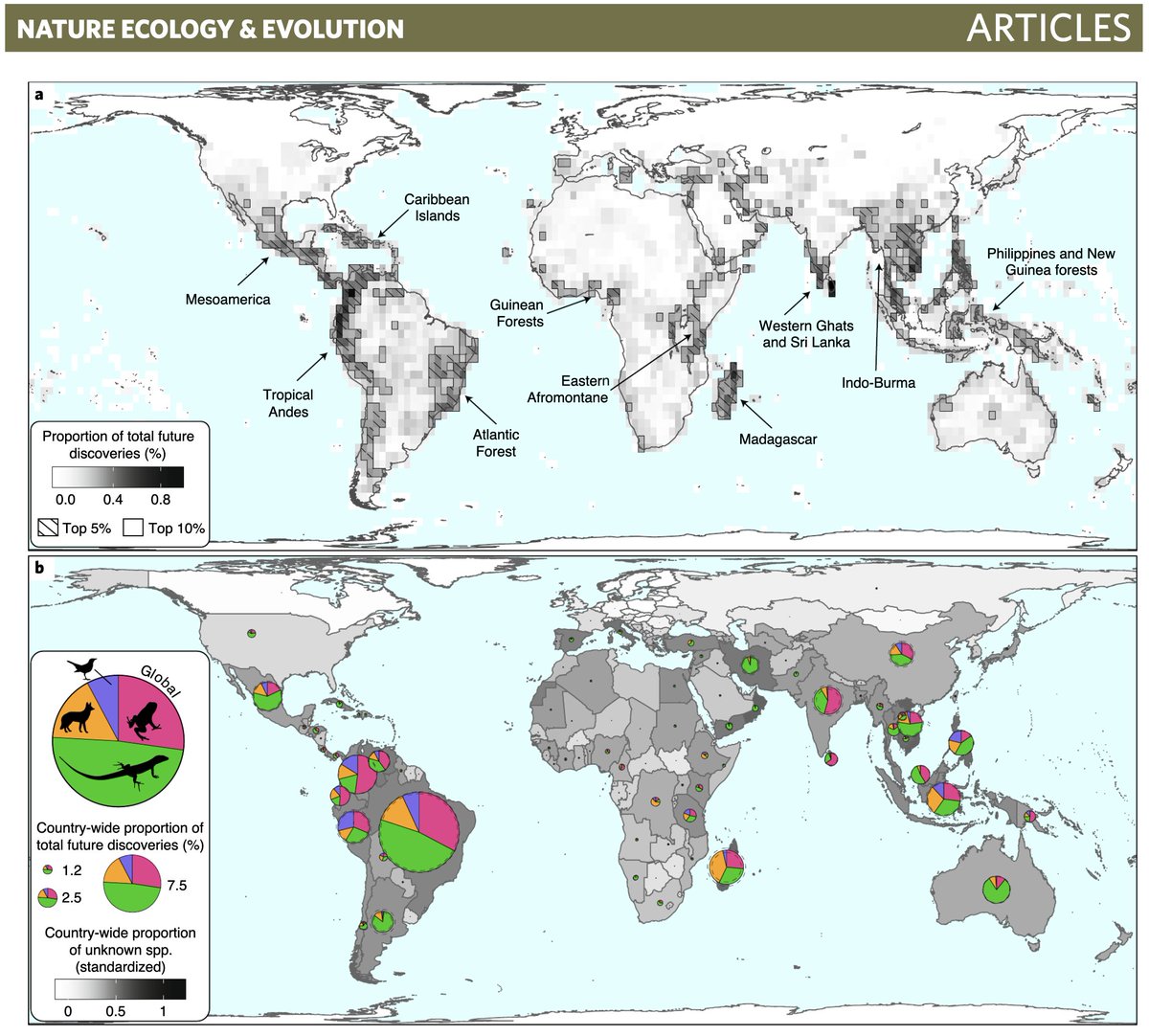 ThisisMyEarth's tweet photo. New map 🗺️ shows where the 80% of species we don’t know about may be hiding in the very interesting study: 

Shortfalls and opportunities in terrestrial vertebrate species discovery

https://t.co/FcoEnV0O6P

#WhyTiME
#natureconservation
#TogetherThroughTiME

[1/10]🔰 https://t.co/GzwzjYjqC2