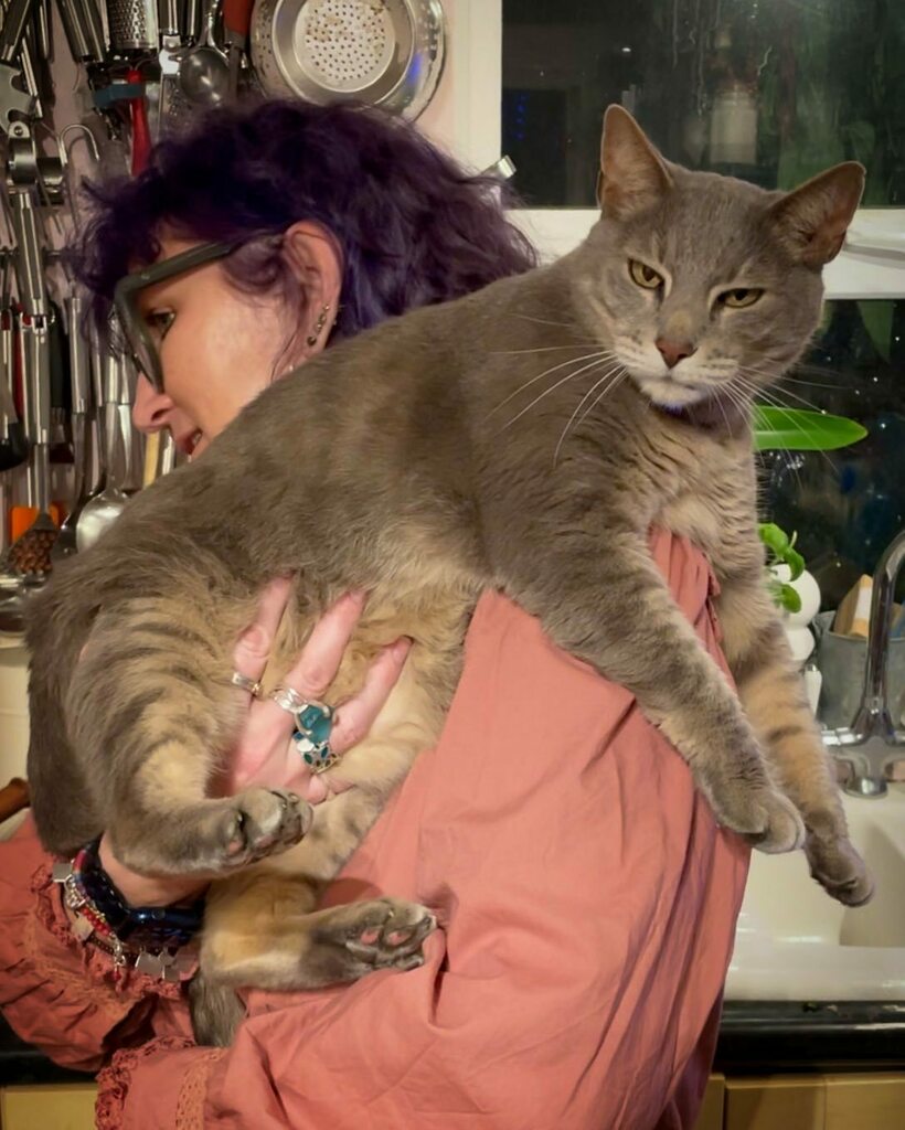 OberonJewellery's tweet photo. My gorgeous pudding, literally resting on his copious belly and purring like demon.
.
.
.
#fatlump #bengal #bengalcross #bengalclub #bengals #bengalcat #bengalsofinstagram #cat #cats #catstagram #catsofinstagram #catlover #catlovers #catsagram #cats_of_โฆ https://t.co/mklqWKJi9K https://t.co/EHPcML9Jng