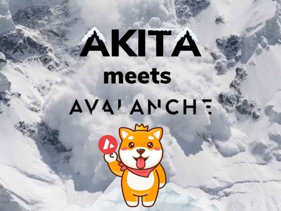 Crypto Christ (@cryptochrist10) on Twitter photo Buy #AKITA for just $1 transaction fee on @avalancheavax or buy $Akita on #Ethereum through uniswap!
<a href="/AKITA_network/">AKITA Network🚀AKITA DAO🐕</a>
AKITA just entered the #Avalanche blockchain, AKITA DAO will follow soon💎
The future is snowy ❤️❄️
#AVAX #ETH #Ethereum #blockchain #Crypto Buy #AKITA for just $1 transaction fee on @avalancheavax or buy $Akita on #Ethereum through uniswap!
<a href="/AKITA_network/">AKITA Network🚀AKITA DAO🐕</a>
AKITA just entered the #Avalanche blockchain, AKITA DAO will follow soon💎
The future is snowy ❤️❄️
#AVAX #ETH #Ethereum #blockchain #Crypto