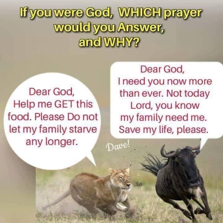 Christians: U believe that each human is a eternal spirit that god caused to manifest into physicality through biology on this  planet &amp; because of a talking snake convincing man to sin,all lifeforms became predatory &amp; weather became turbulent.For what purpose again? 🤪🤪😏🤣🤣😂