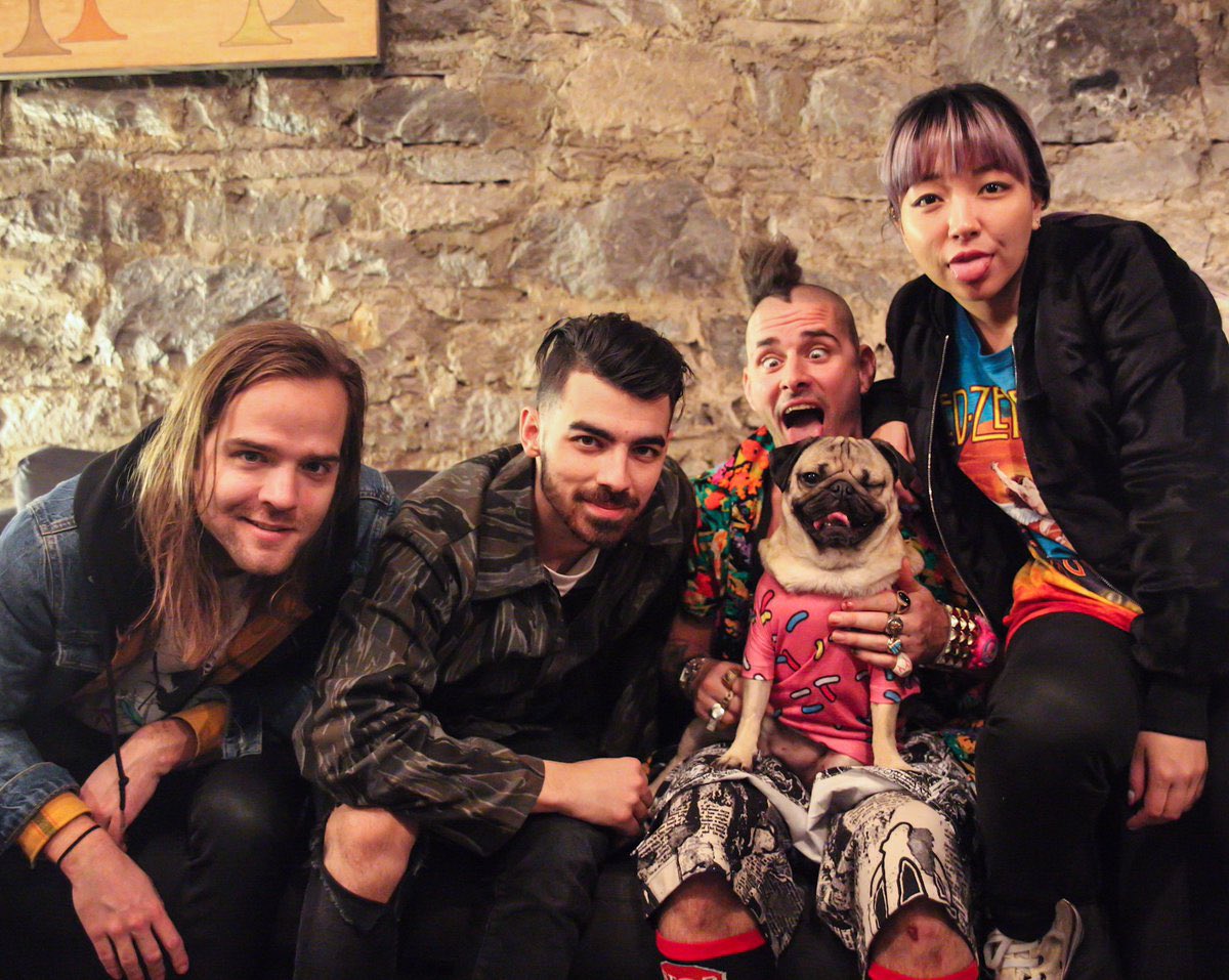 itsdougthepug tweet picture