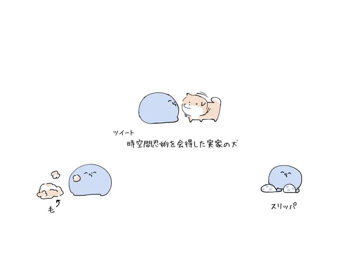˙ᴥ˙  🐾 