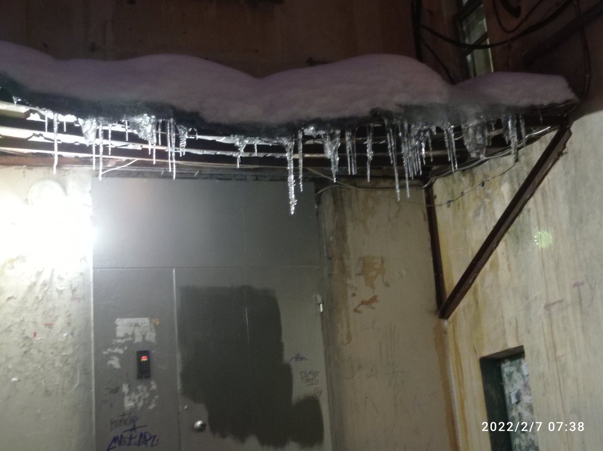 Влада tweet media