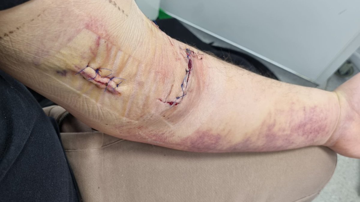 Question everything tweet media