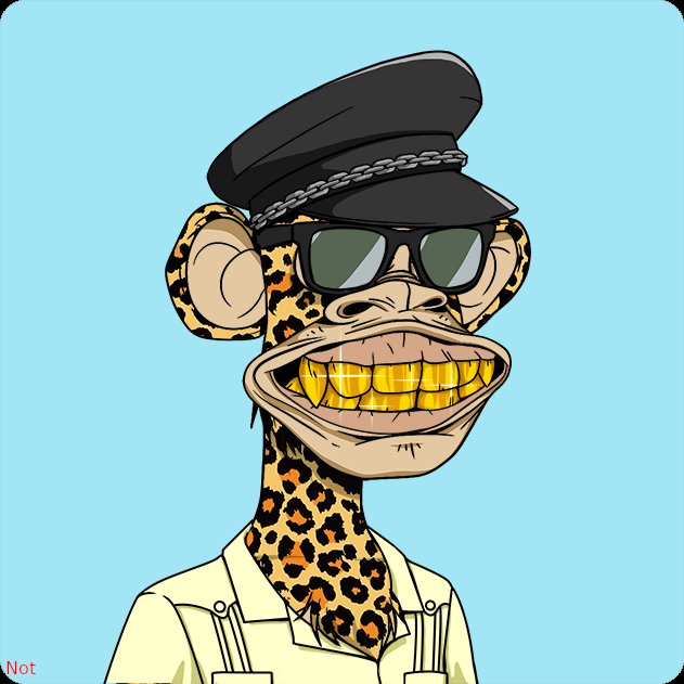 Not_Community's tweet photo. @MoodyOwlNFT https://t.co/nhDBqirz96 https://t.co/uSl3F8lnlN