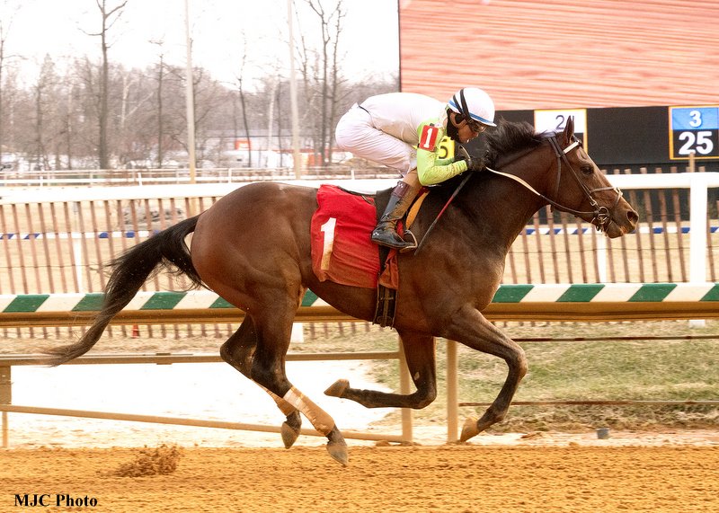 bit.ly/3uMSQ8z The 147th running of the $1.5 million Preakness Stakes (G1), Middle Jewel of the Triple Crown, is the long-range goal for our stakes-winning Maryland homebred colt Joe (named for @POTUS) 🎉🏇 @stuartmgrant @trombetta_mike @paulickreport @LaurelPark