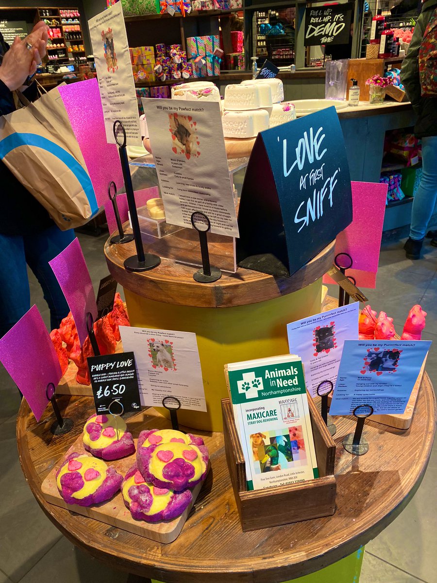 Went into my local <a href="/LushLtd/">LUSH UK</a> and LOVE LOVE LOVE to see that they are supporting a local animal charity this valentines 🥰🥰. This one is extra special to me as we got our beautiful girl Pepsi 🐶 from <a href="/AnimalsInNeedUK/">Animals in Need UK</a> . Bravo Lush 👏🏻👏🏻👏🏻 #loveatfirstsniff #rescue #lush