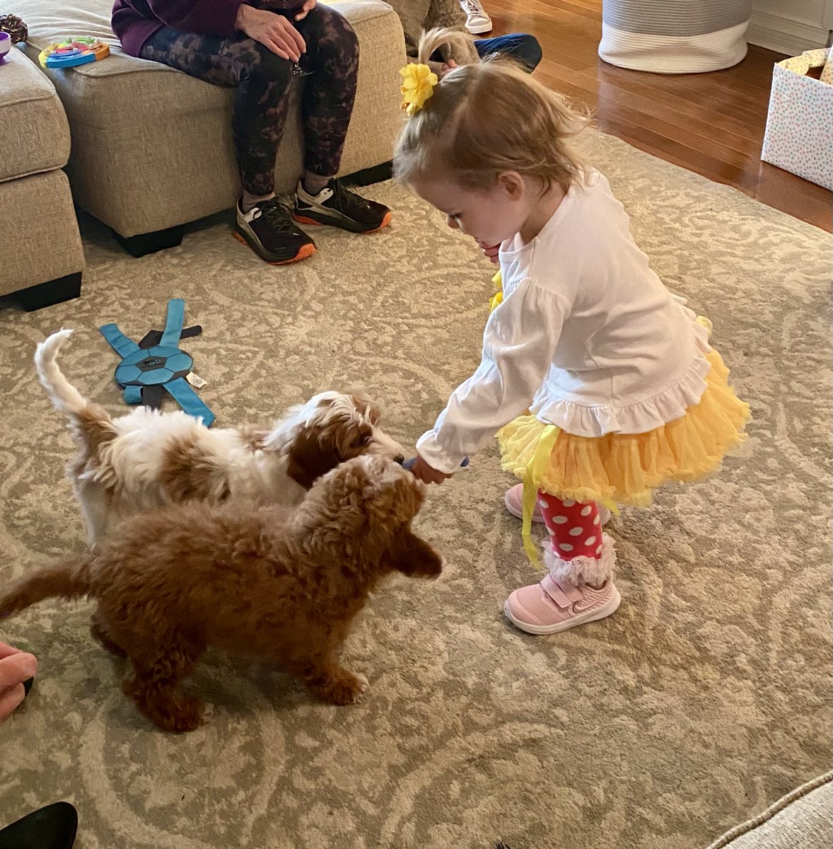 JColemanKY's tweet image. I’m gonna need a few days to recover from kids, puppies, presents and adults. #OutgoingIntrovert