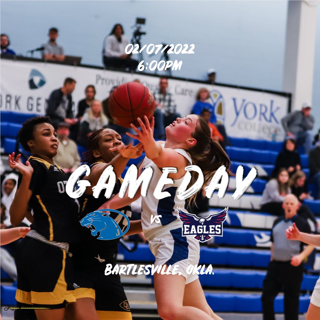 YU Gameday tweet media