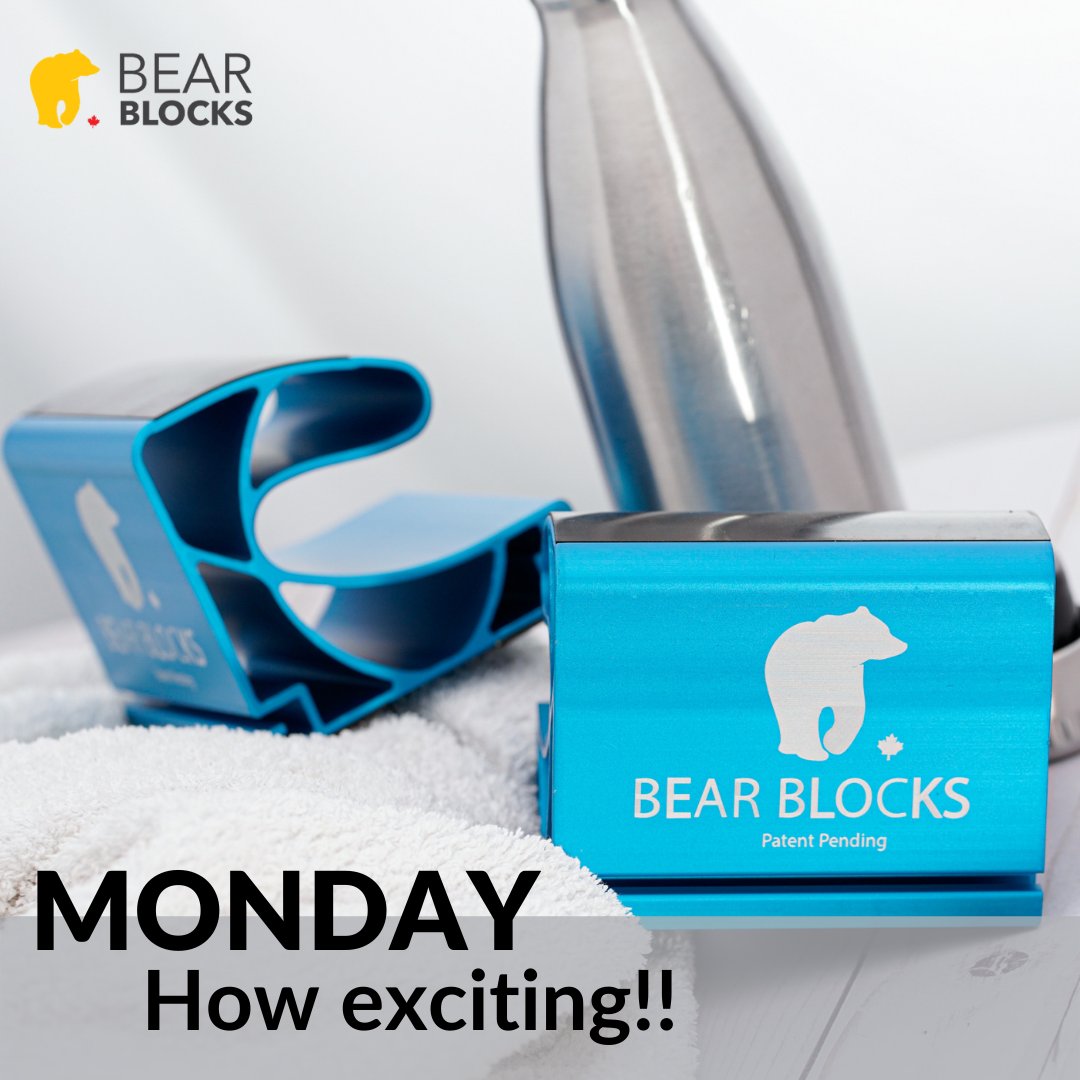 Bear Blocks tweet media