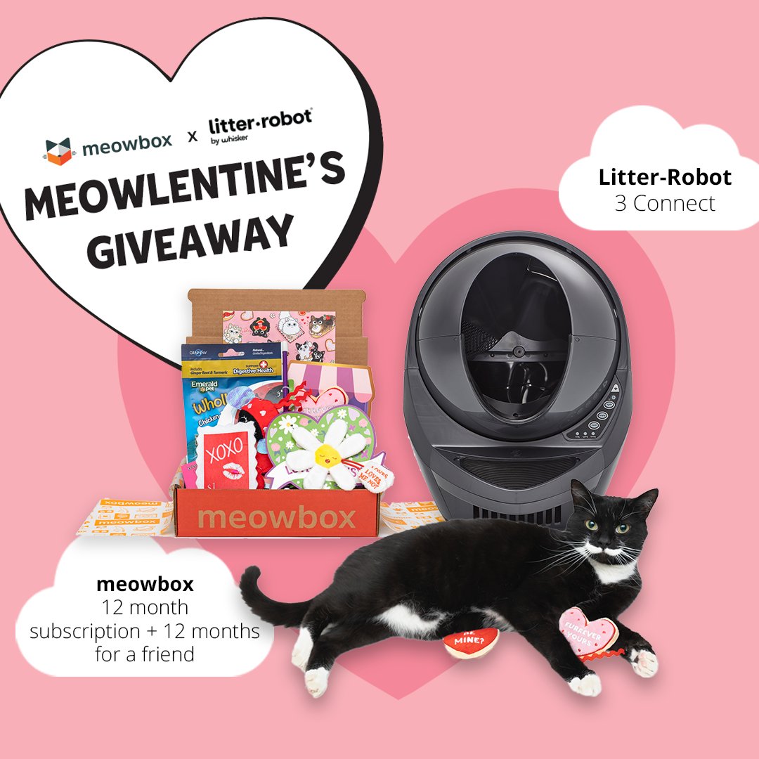 Litter Robot Christmas Giveaway 2022 29Bojqwksyta3M