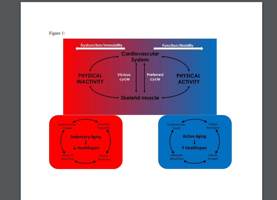 Journal of Applied Physiology tweet media