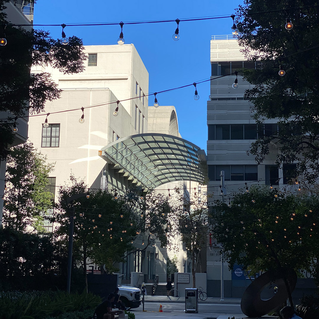 SFSU College of Professional & Global Education tweet media