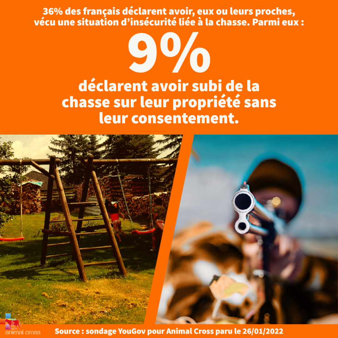 Animal Cross tweet media