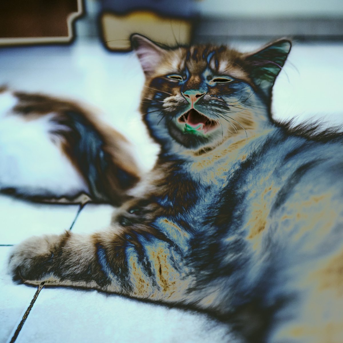 AgegeSaputra's tweet photo. Curved Cat #NFTs #curvedcats #opensea #nftart 
https://t.co/jyfsdofj66 https://t.co/prZDufH9eN
