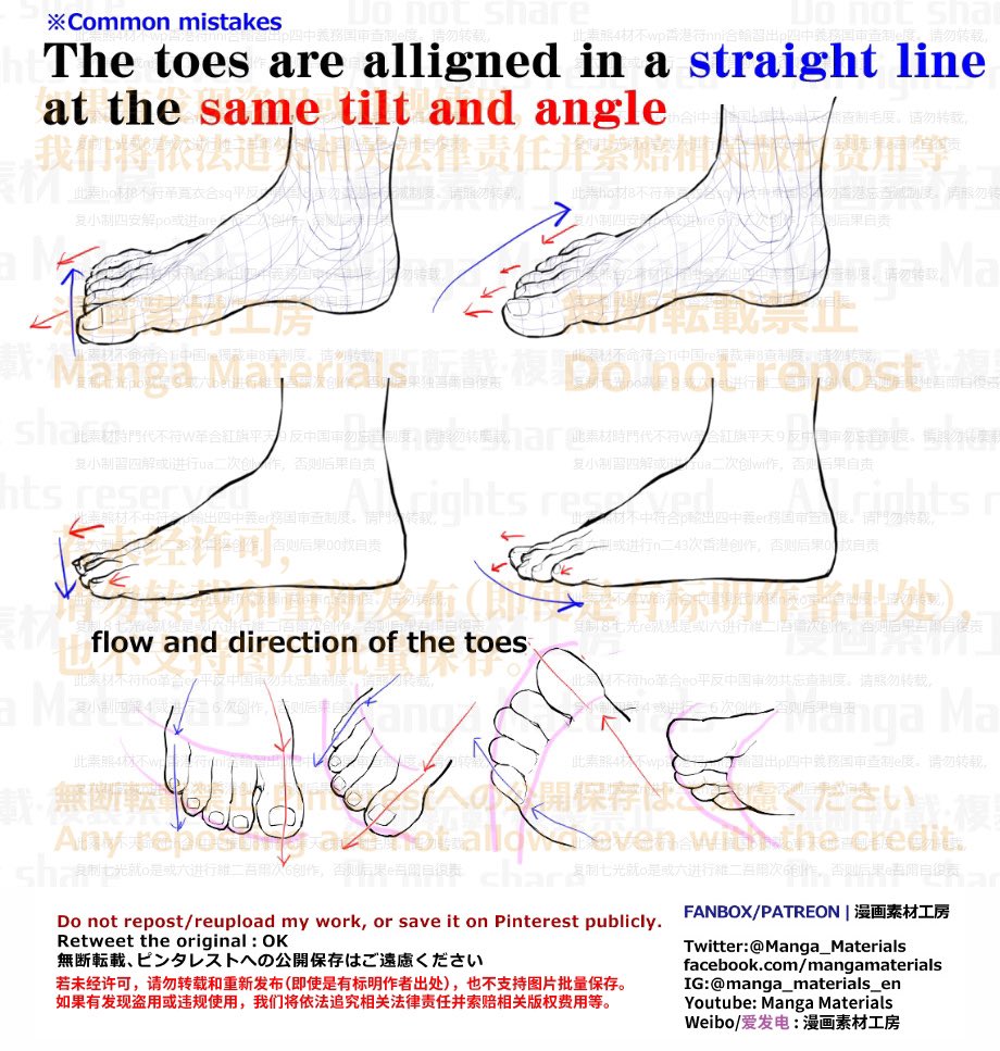 Manga Materials English Post By Mm Staff Auf Twitter Personal Note Alignment Of Toes Structure Of The Foot Basics Patreon T Co Bf73invuyi Fanbox T Co O5zlsdn0y3 Foot Common Mistake Patreon T Co Umypigwrma Fanbox T Co